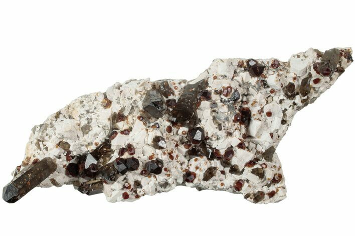 Spessartine Garnets With Smoky Quartz On Feldspar - China #238175